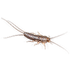 Mortein