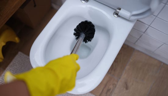 Gloved hand holding toilet brush over a toilet.