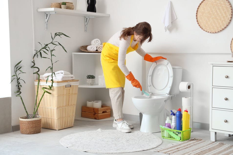 Toilet Cleaner
