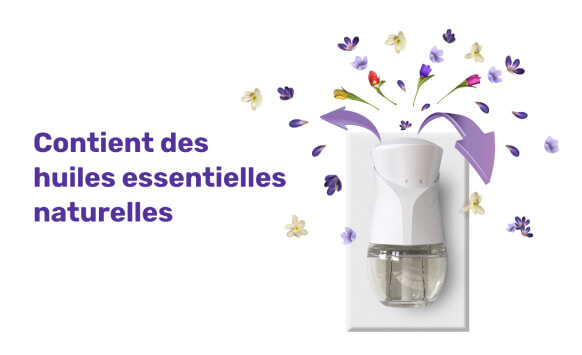 Présente le haut d’un diffuseur d’huiles parfumées d’Air Wick® branché dans le mur avec des fleurs violettes qui sortent du haut pour représenter l’odeur diffusée dans la pièce.
