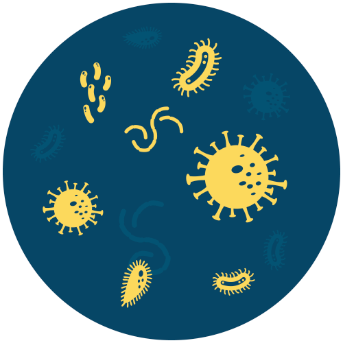 Elimina 99,9% dos vírus, bactérias e fungos