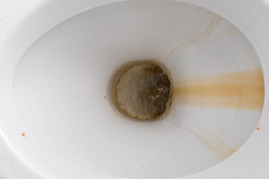 Toilet Bowl