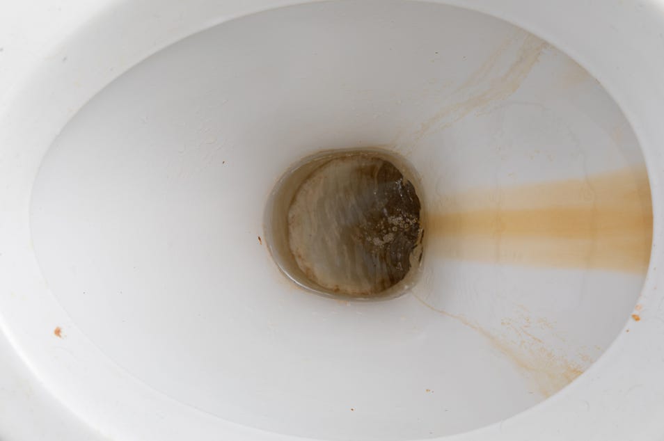 Toilet Bowl