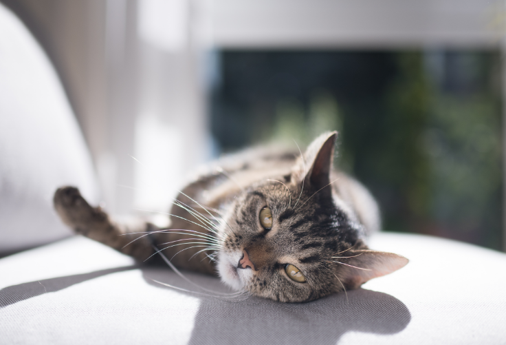 Our odor controlling tips