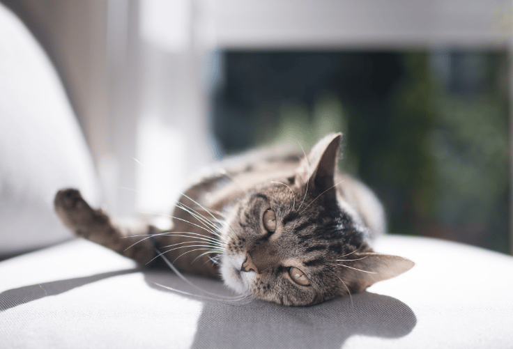 Our odor controlling tips