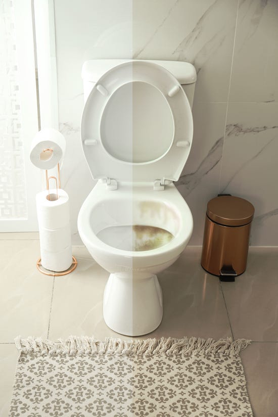 Toilet split to show before and after cleaning