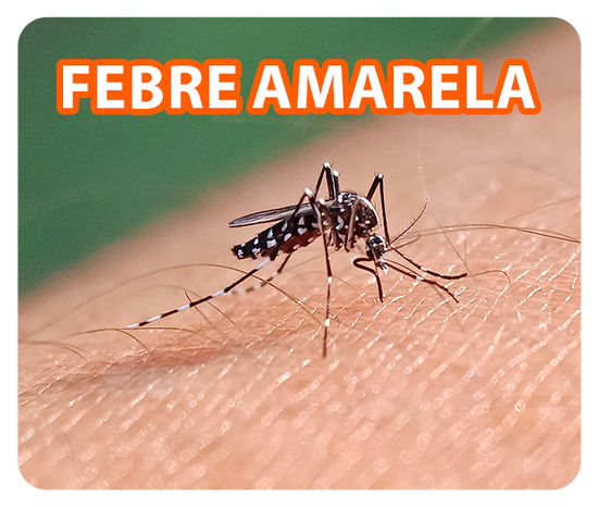 Febre Amarela
