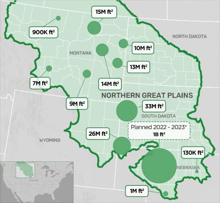 How we’re planting 1 billion square feet of wildflowers