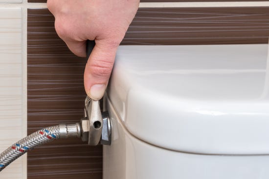 Toilet Flush Valve