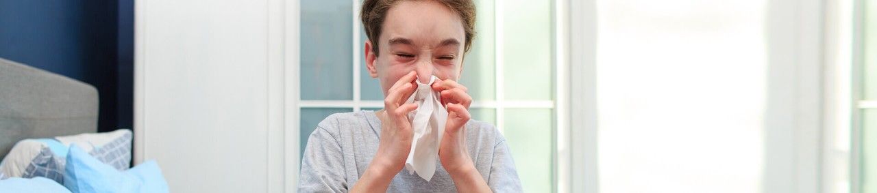 ¿Qué es la gripe aviar?