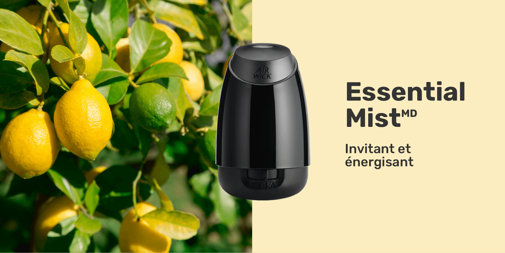 <img class="stat-image-link picture--scale-src" src="/content/dam/airwick-canada-local/north-america/canada/french/product-category/mist-diffusers/AW-EM-mast-FRv2.png" alt="Image : Présente un diffuseur Essential Mistᴹᴰ et un arrière-plan de branches d’un citronnier. Titre : Essential Mistᴹᴰ Sous-titre : Invitant et énergisant">