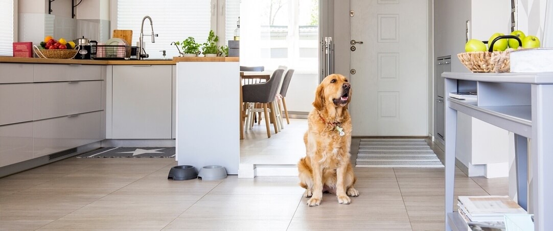 How To Make Your Kitchen Smell Good