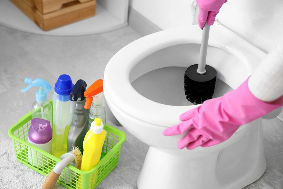Toilet Ball Cleaner