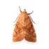 Mortein