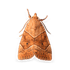 Mortein