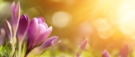 The Air Wick® Guide To Seasonal Scents