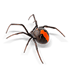 Mortein