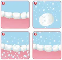 teeth