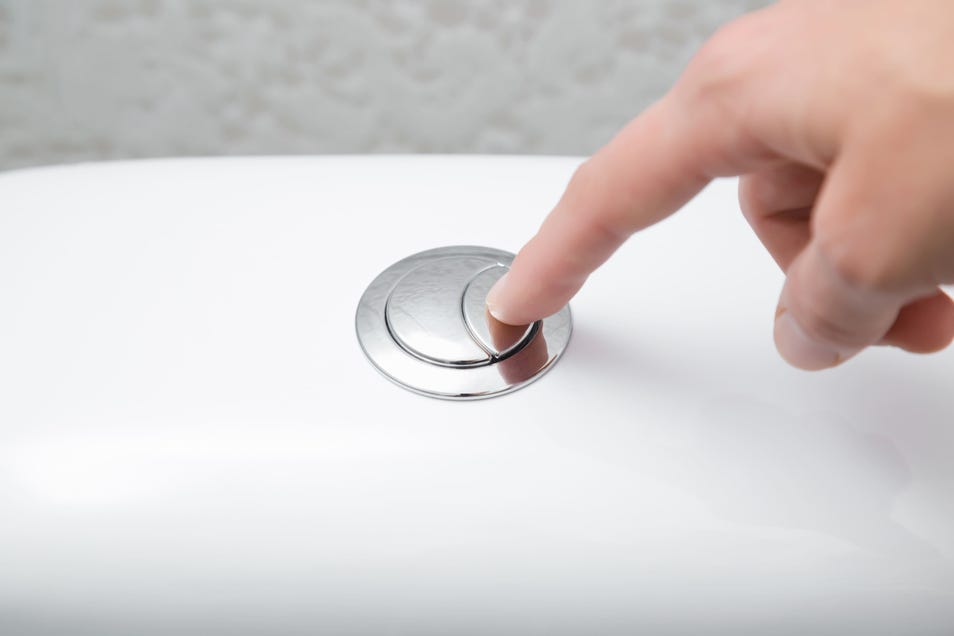 How does a toilet flush system work?