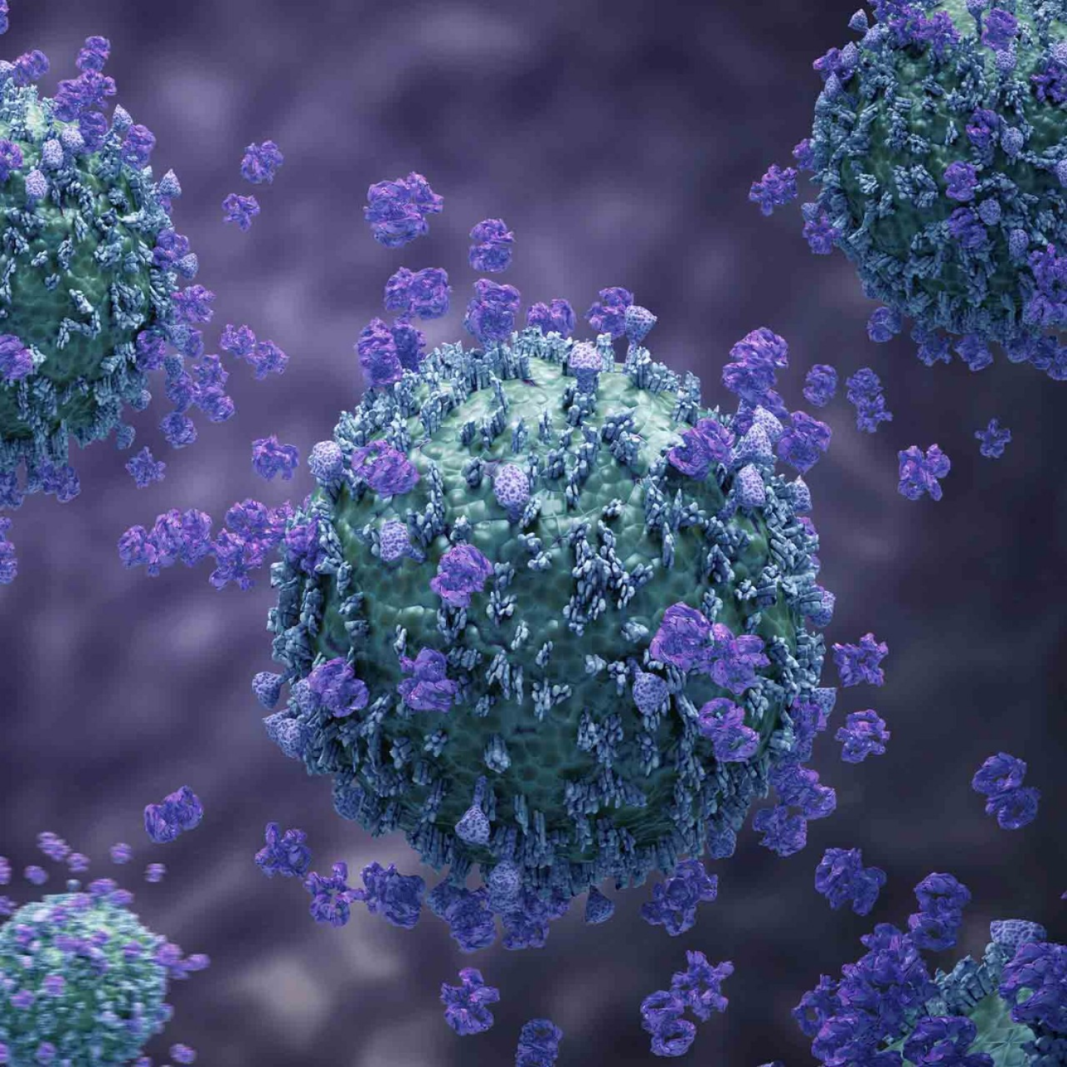 Os Esconderijos Preferidos dos Germes