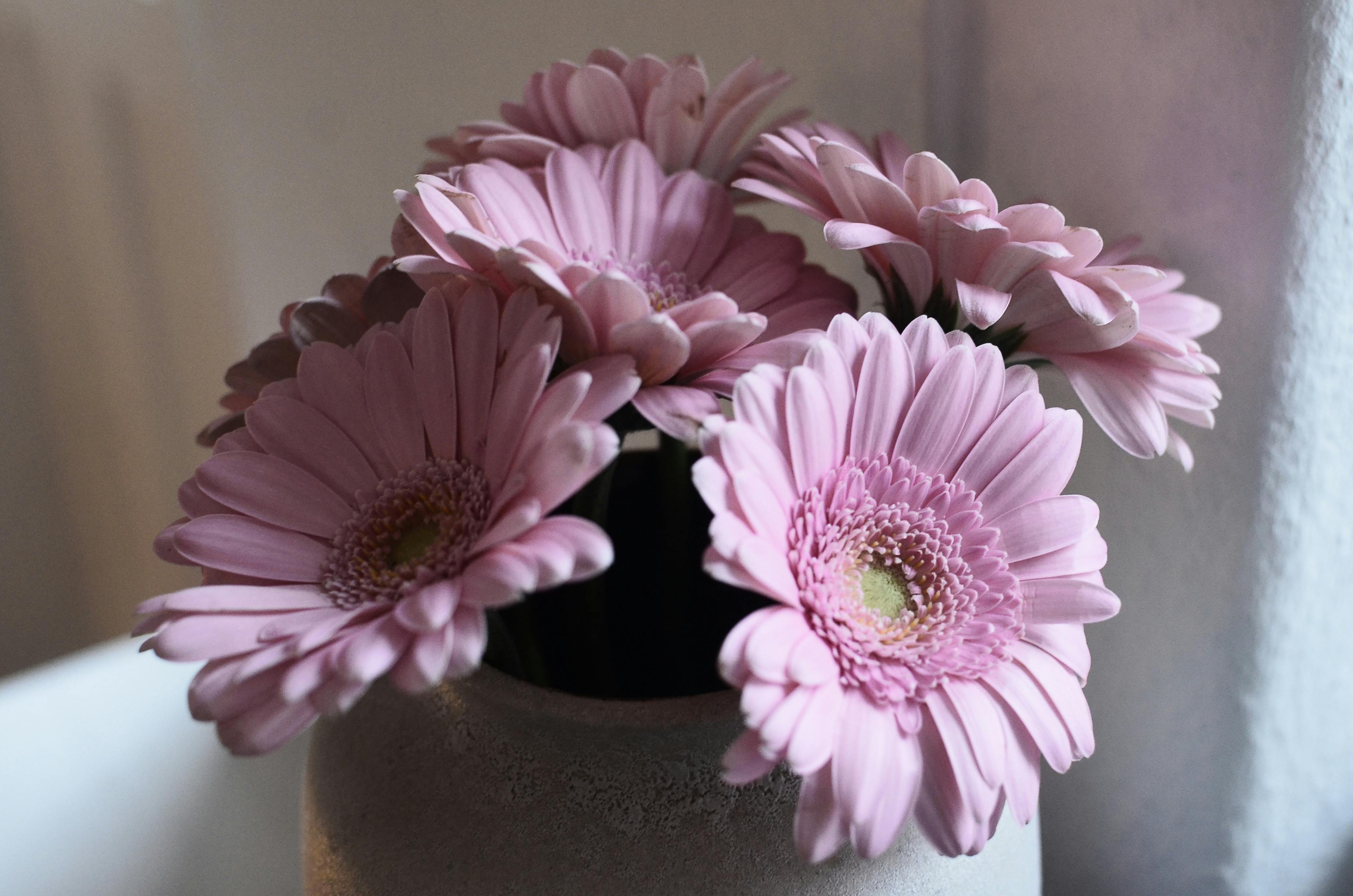 Buquê de flores rosas em vaso decorativo, transmitindo sensação de frescor e delicadeza para ambiente interno.