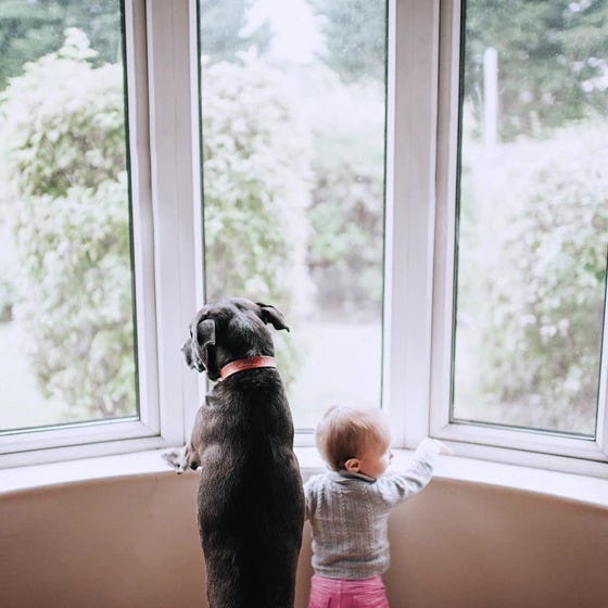 baby and dog looking through the window