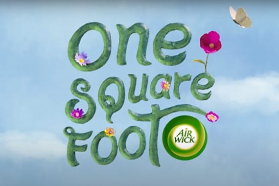 One Square Foot is all it Takes!
