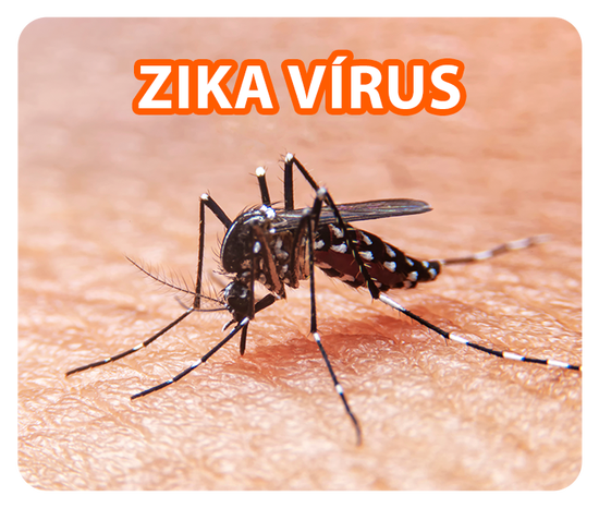 Zika Vírus