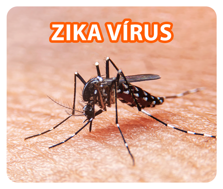 Zika Vírus