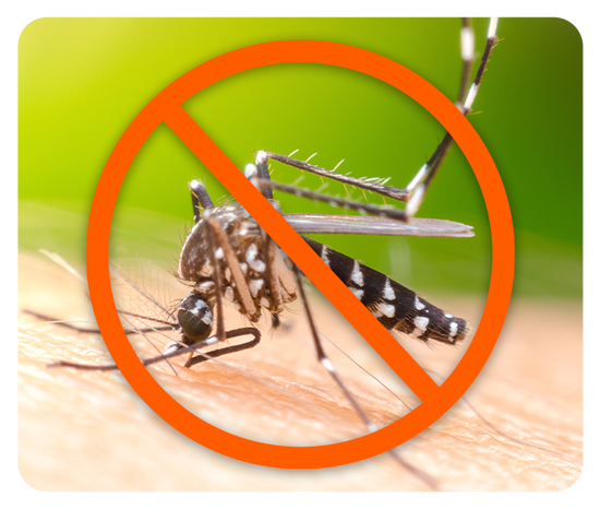 Como evitar insetos transmissores de doenças