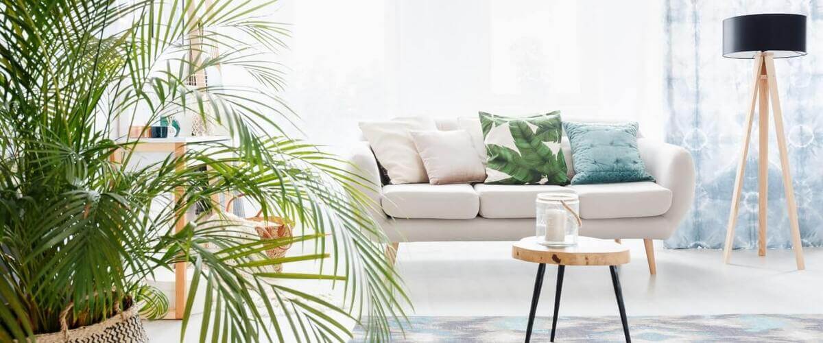 Eliminate Odors & Smells