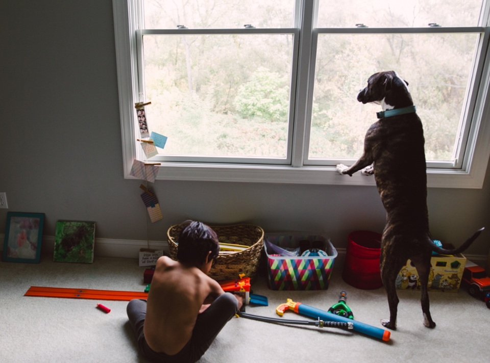 A toddler playing in clean playing area with dog and dog watching out side of window