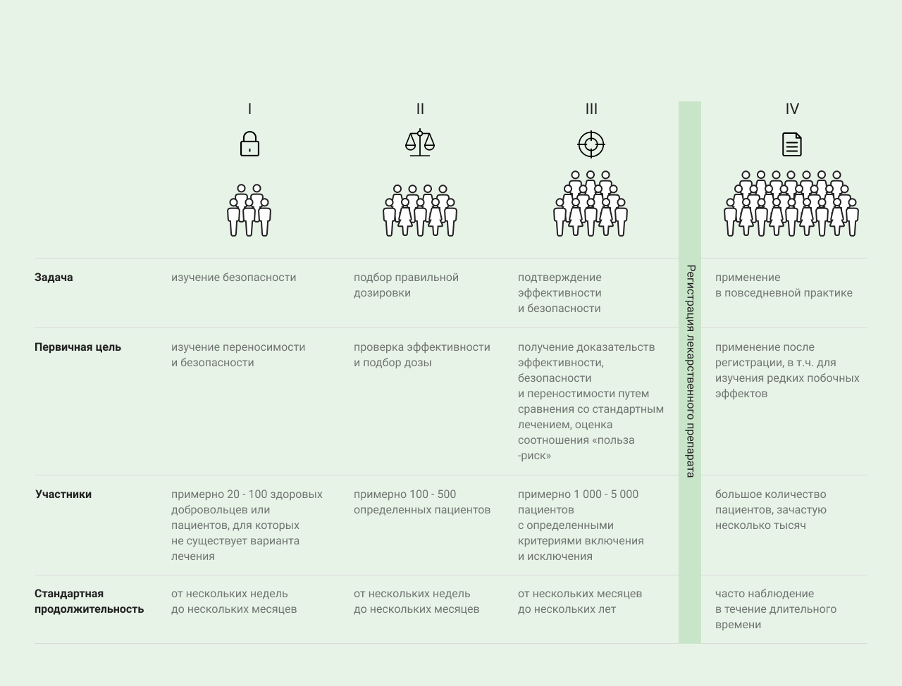 Фазы исследования
