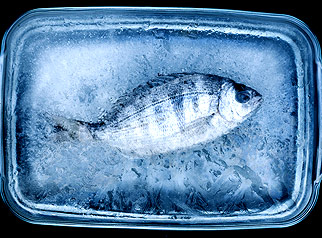 Food packaging: Illegal frozen-seafood labeling investigated