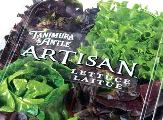 Artfully 'green' package for artisan lettuce