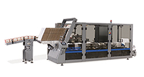 Case packer