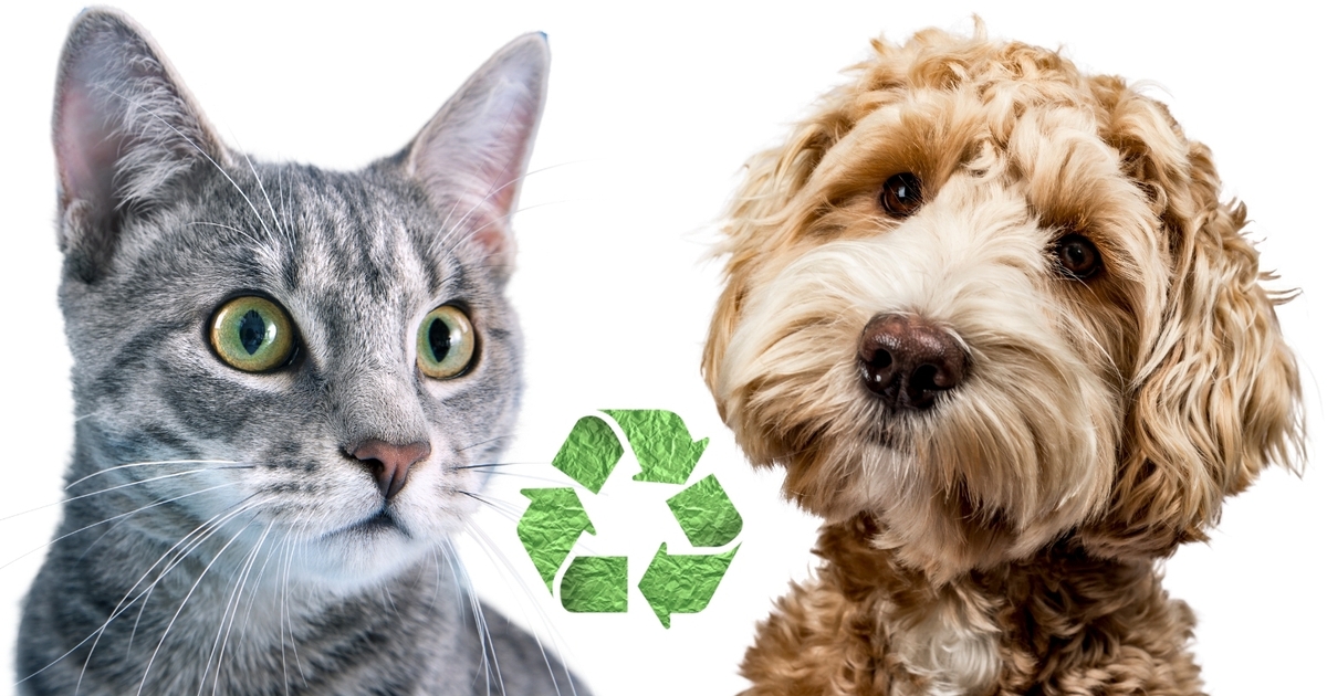 Cats Versus Dogs: Who is Better for Recycling?
