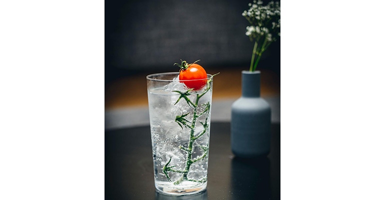 sustainable gin and tonic