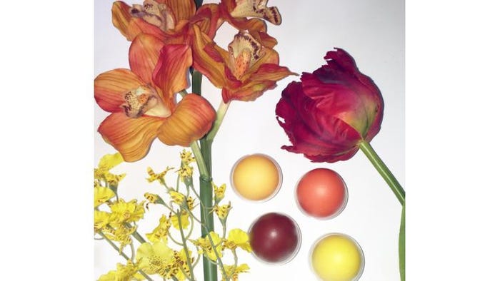 X-rite-Flowers-Dyed-Eggs-72dpi.jpg