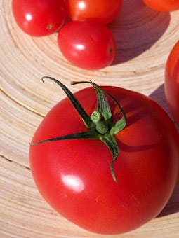 151342-tomatoes_closeup_v2.jpg