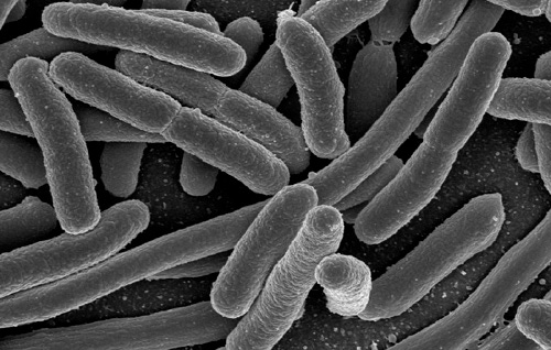 Deal reached to market anti-microbial product