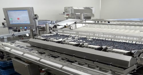 Integrated weigher/bagger for foods