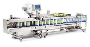Bagging system