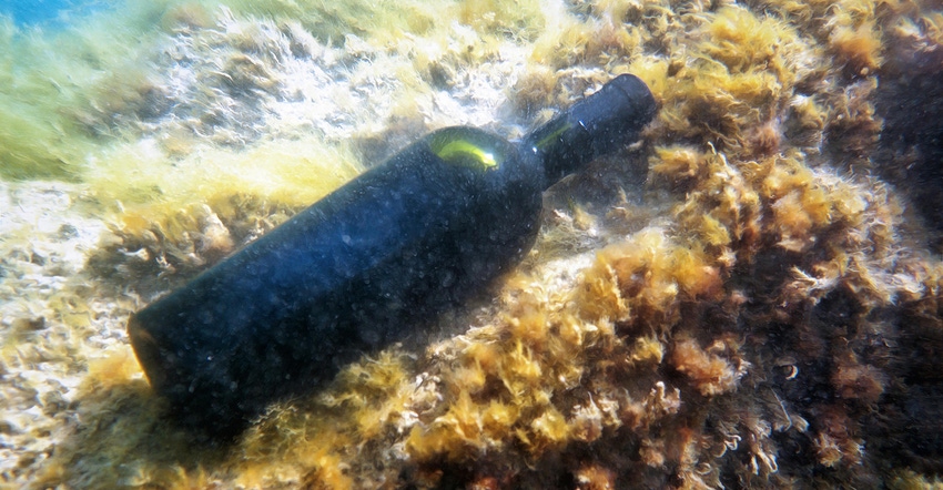 Alamy-Underwater-Sea-Bottle-Alexandr-Malyshev-2A7M7Y3-1540-800.jpg