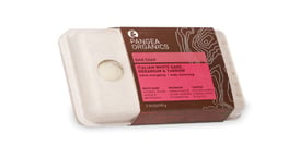 Biodegradable packaging for Pangea Organics incorporates seeds that ca