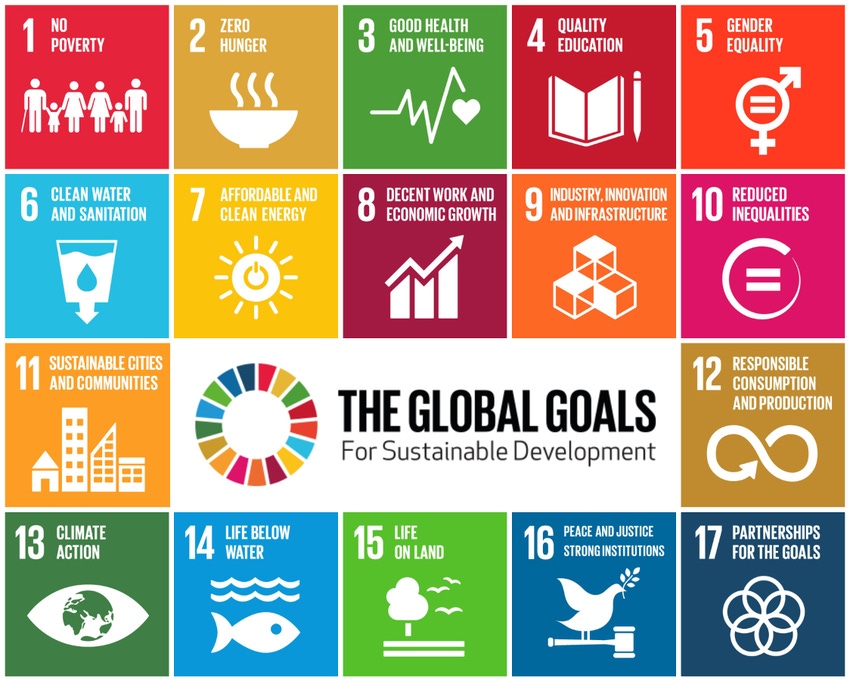 Why the 2030 Sustainable Development Goals matter to packaging professionals