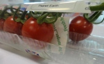 UK retailer keeping tomatoes fresh longer