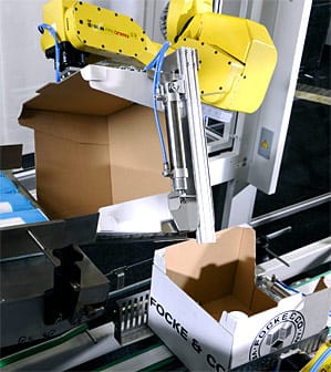 Fishbach Case Packer Case Packer