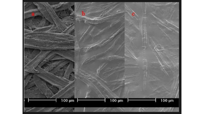 Micro-Fibrillated-Cellulose-fiber-72dpi.jpg