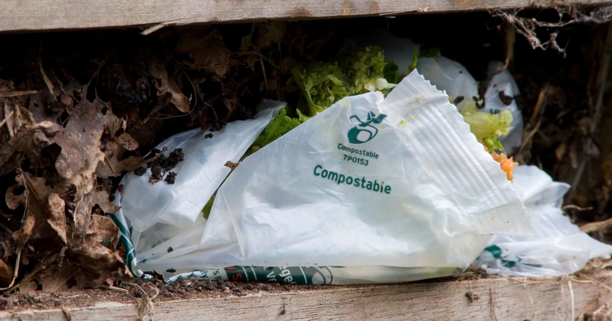 Basic Nature Clear Plastic Foodservice Food Wrap - Compostable